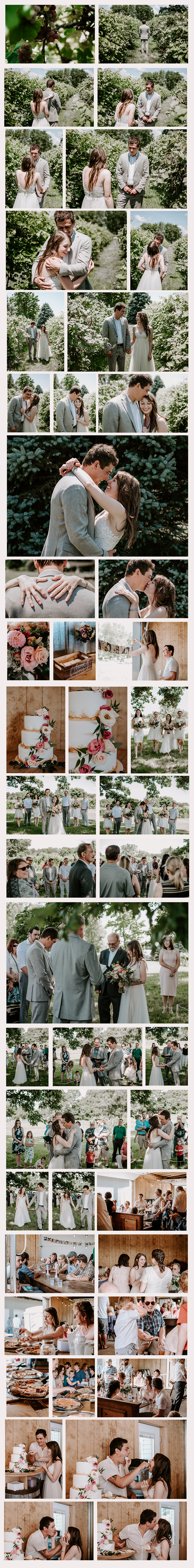 Aubrey + Paul | Majestic Oak Winery | Toledo, Ohio | Wedding Photography